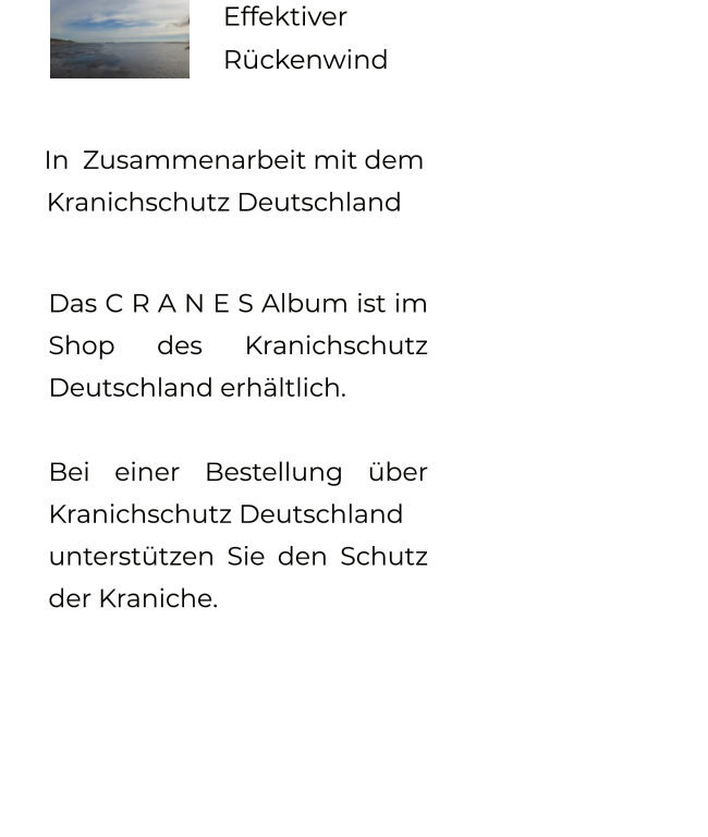 In  Zusammenarbeit mit dem     Kranichschutz Deutschland   Das C R A N E S Album ist im Shop des Kranichschutz Deutschland erhältlich.   Bei einer Bestellung über Kranichschutz Deutschland   unterstützen Sie den Schutz der Kraniche.   Effektiver  Rückenwind